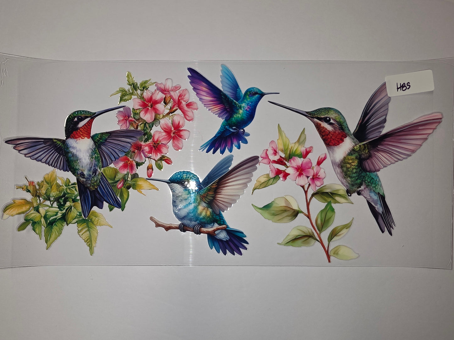 Vibrant Hummingbird & Pink Flower Tumbler Wrap | Watercolor Bird Drinkware Decal