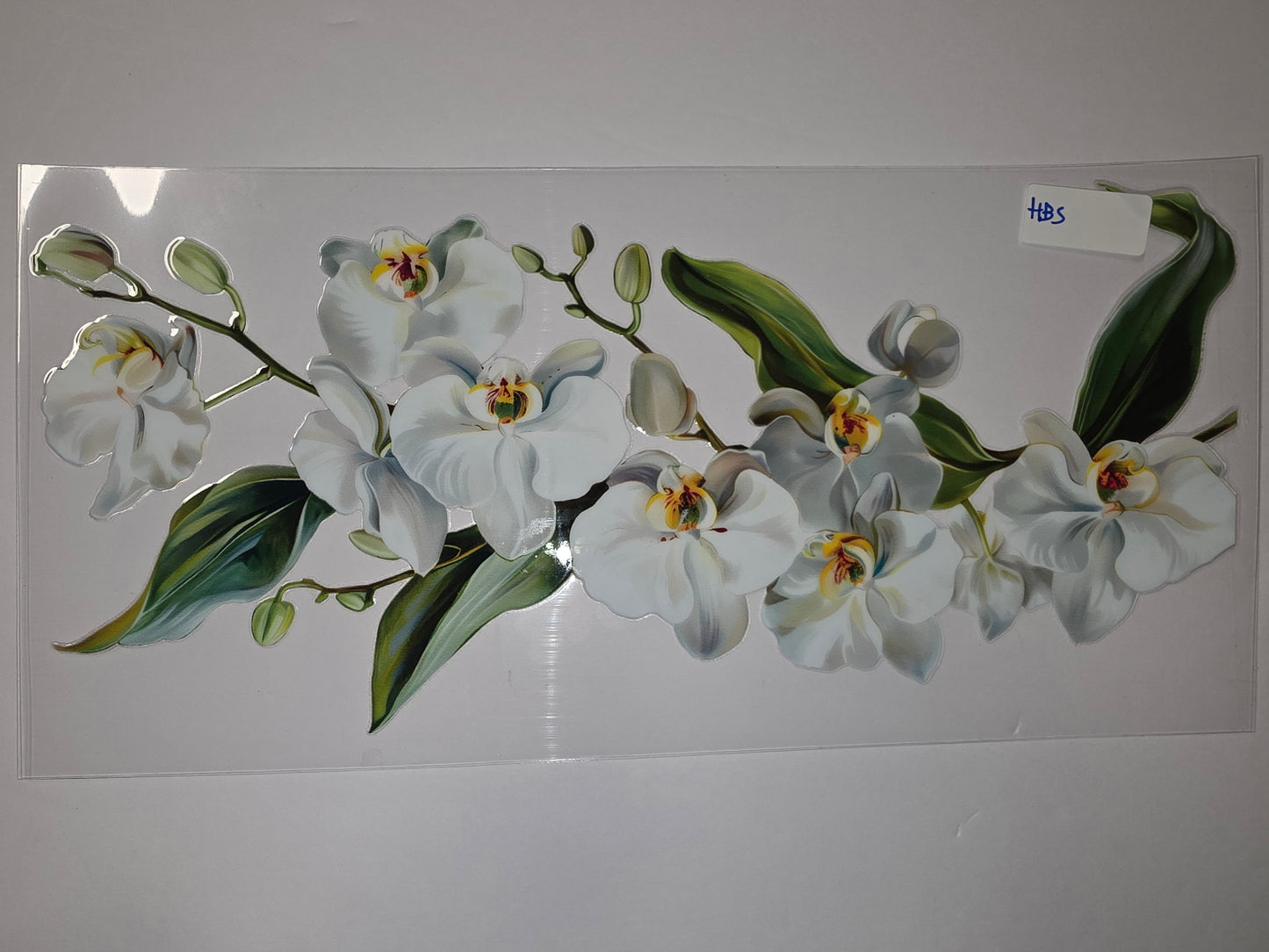 Elegant White Orchid Floral Tumbler Wrap | Realistic Flower Design | Sublimation Cup Art