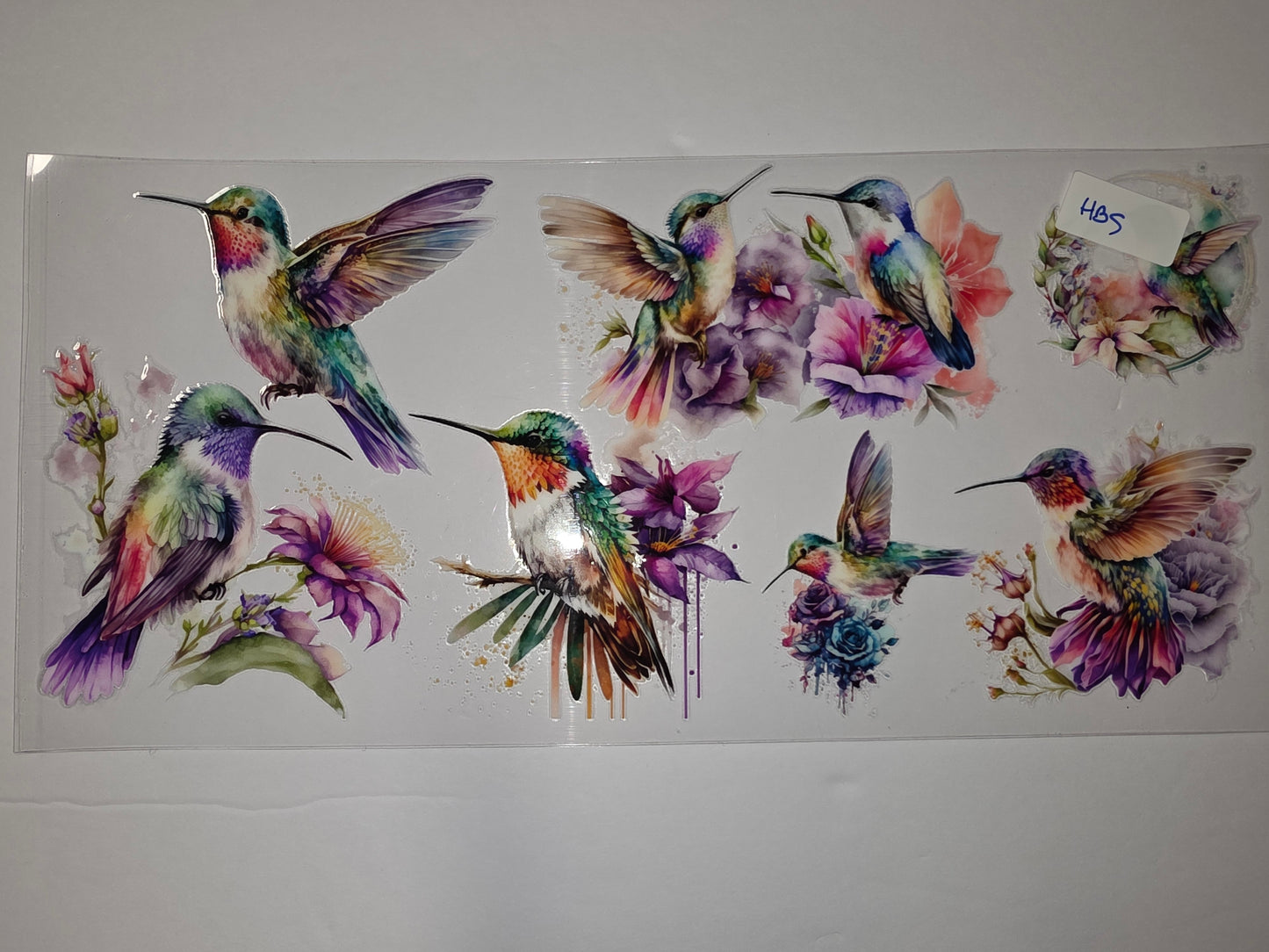 Vibrant Hummingbird & Floral Tumbler Wraps | Watercolor Bird & Flower Design