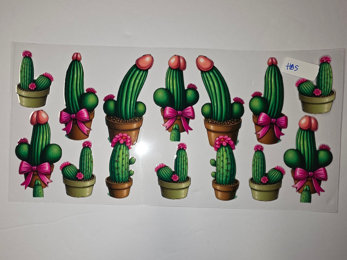Funny Phallic Cactus Tumbler Wraps | Green Desert Plant with Pink Flowers & Bows | Sublimation Design