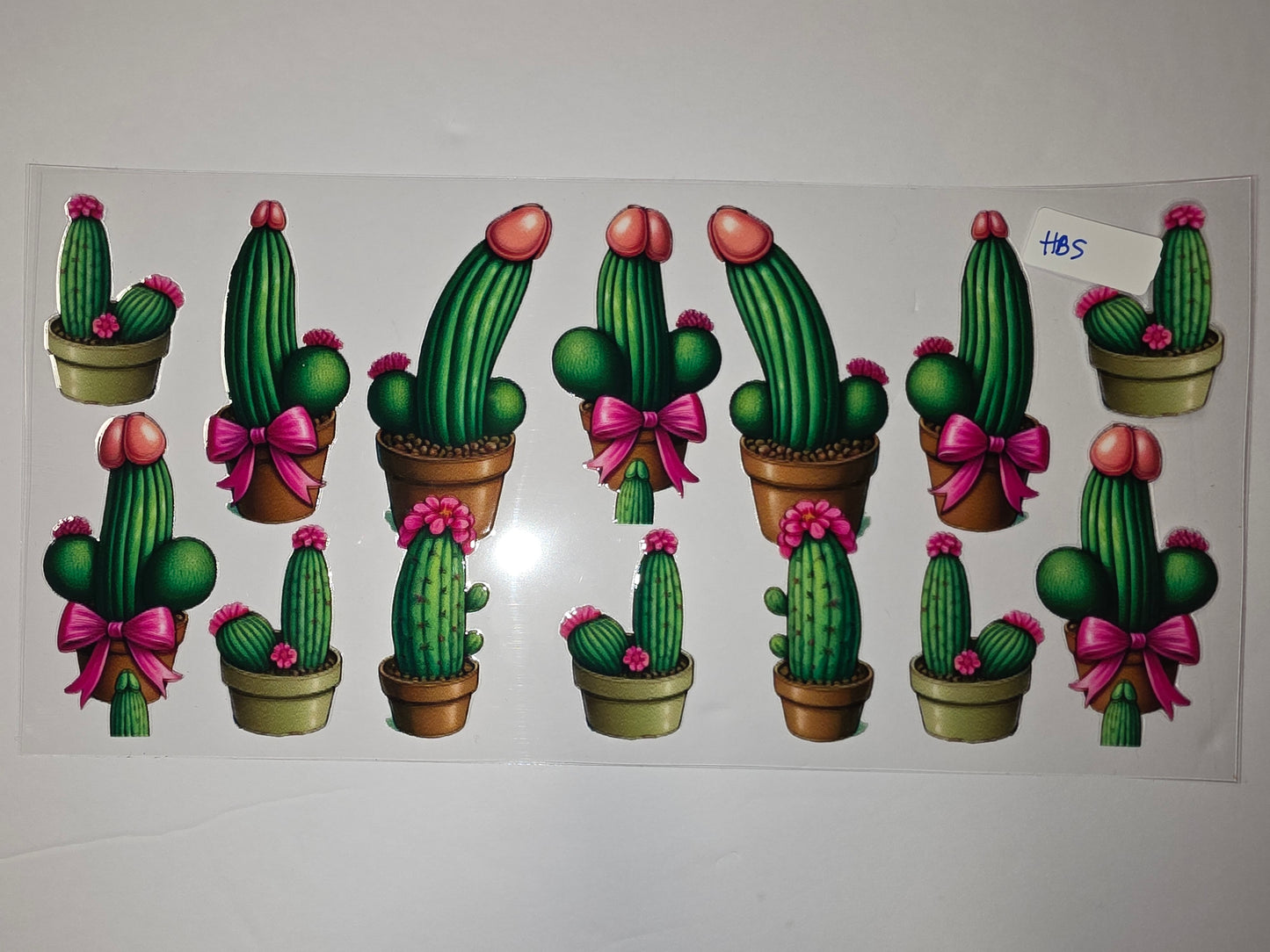 Naughty Cactus Tumbler Wrap - Pink Bows & Flowers - Funny Desert Drinkware Design