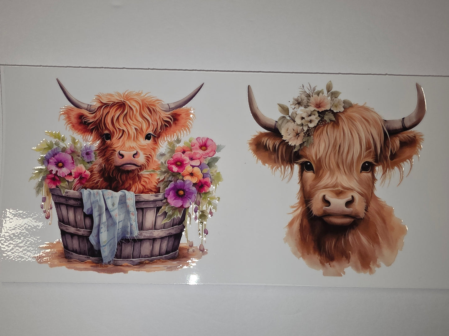 Highland Cow Tumbler Wrap - Watercolor Floral & Rustic Bucket Designs