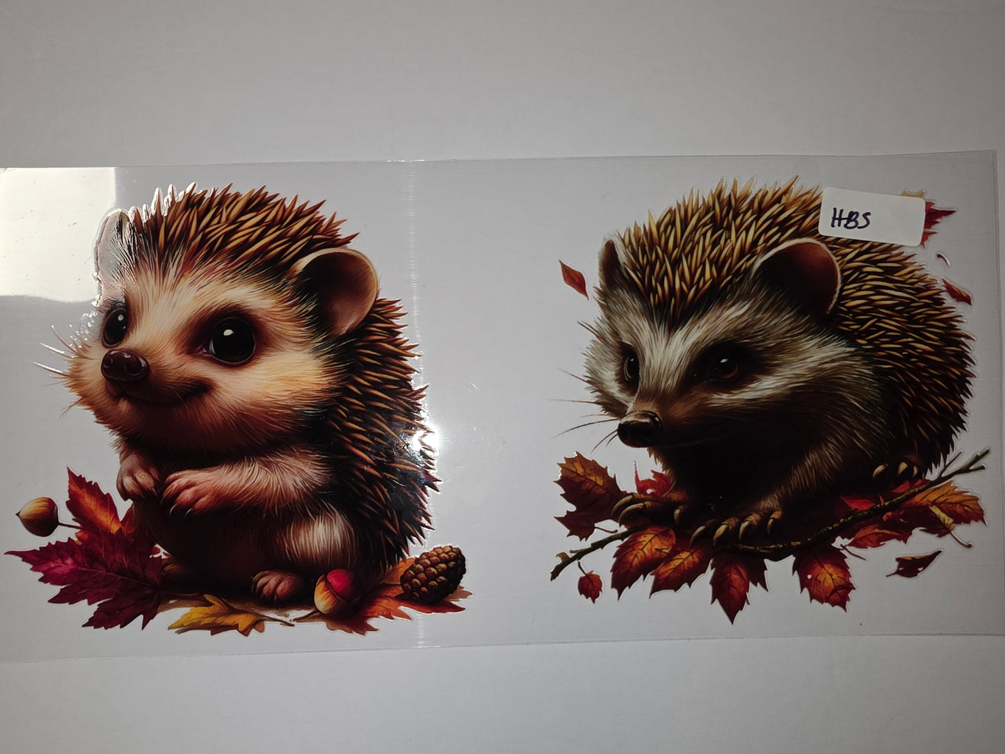 Cute Hedgehog Autumn Leaves Tumbler Wrap - Fall Animal Drinkware Design
