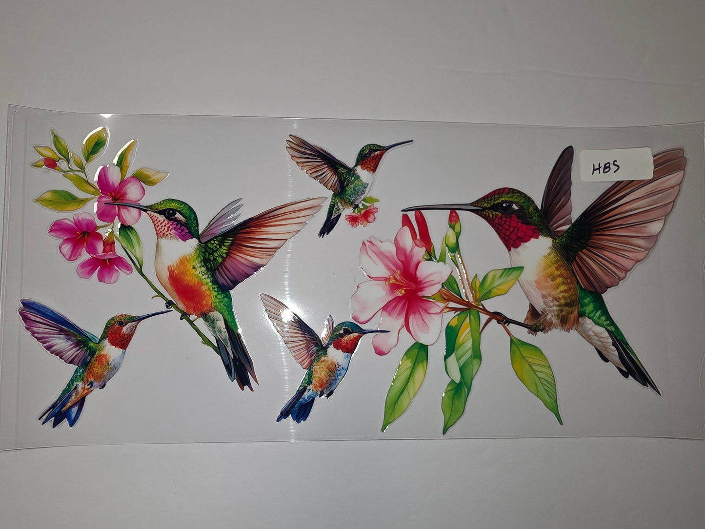 Vibrant Hummingbird & Flower Tumbler Wrap | Realistic Bird & Floral Design