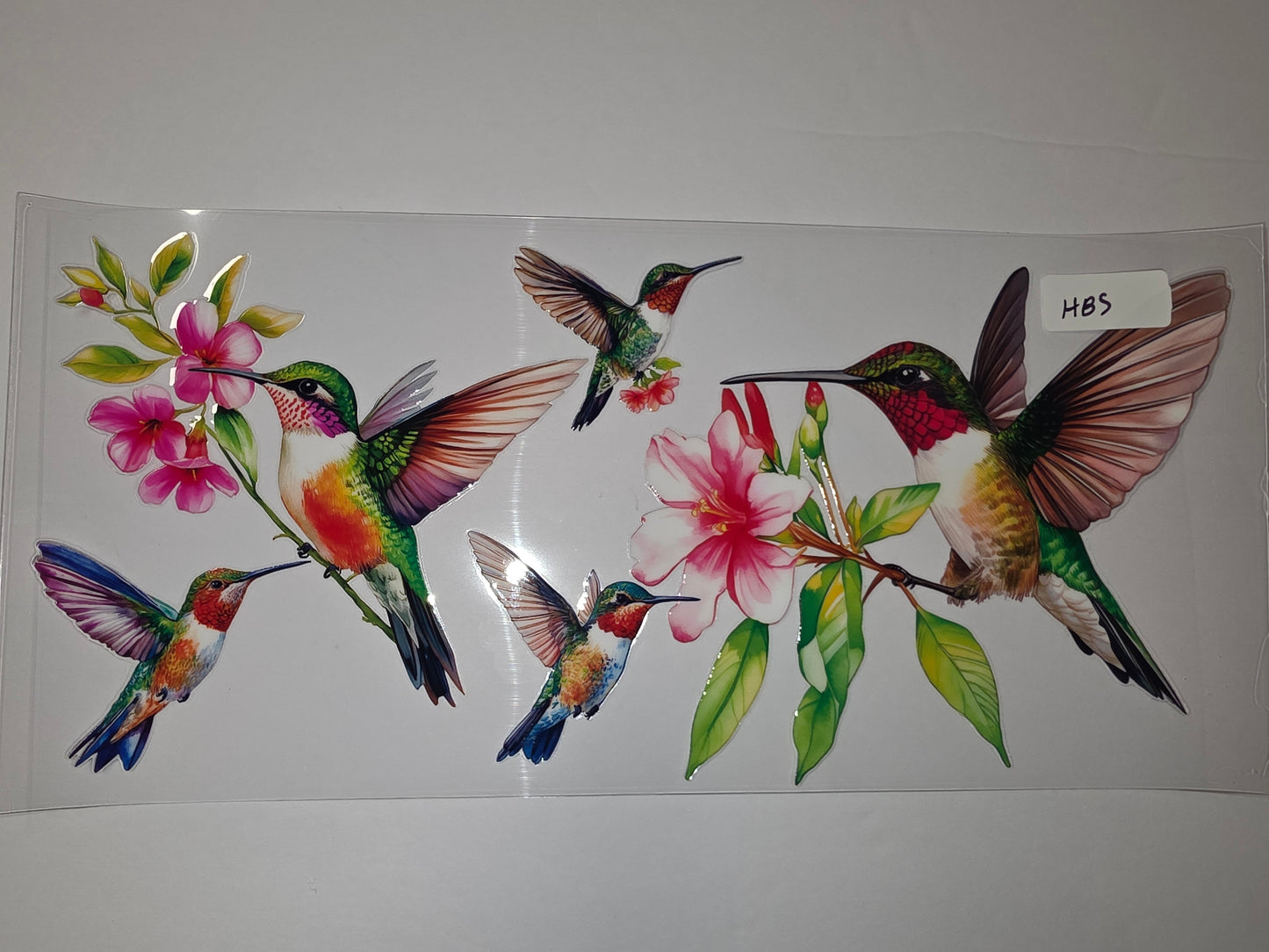 Vibrant Hummingbird & Pink Flower Tumbler Wrap | Realistic Bird & Floral Design