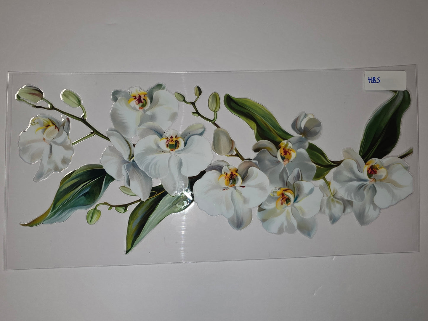 Elegant White Orchid Tumbler Wrap | Realistic Floral Design | Sublimation Cup Decal