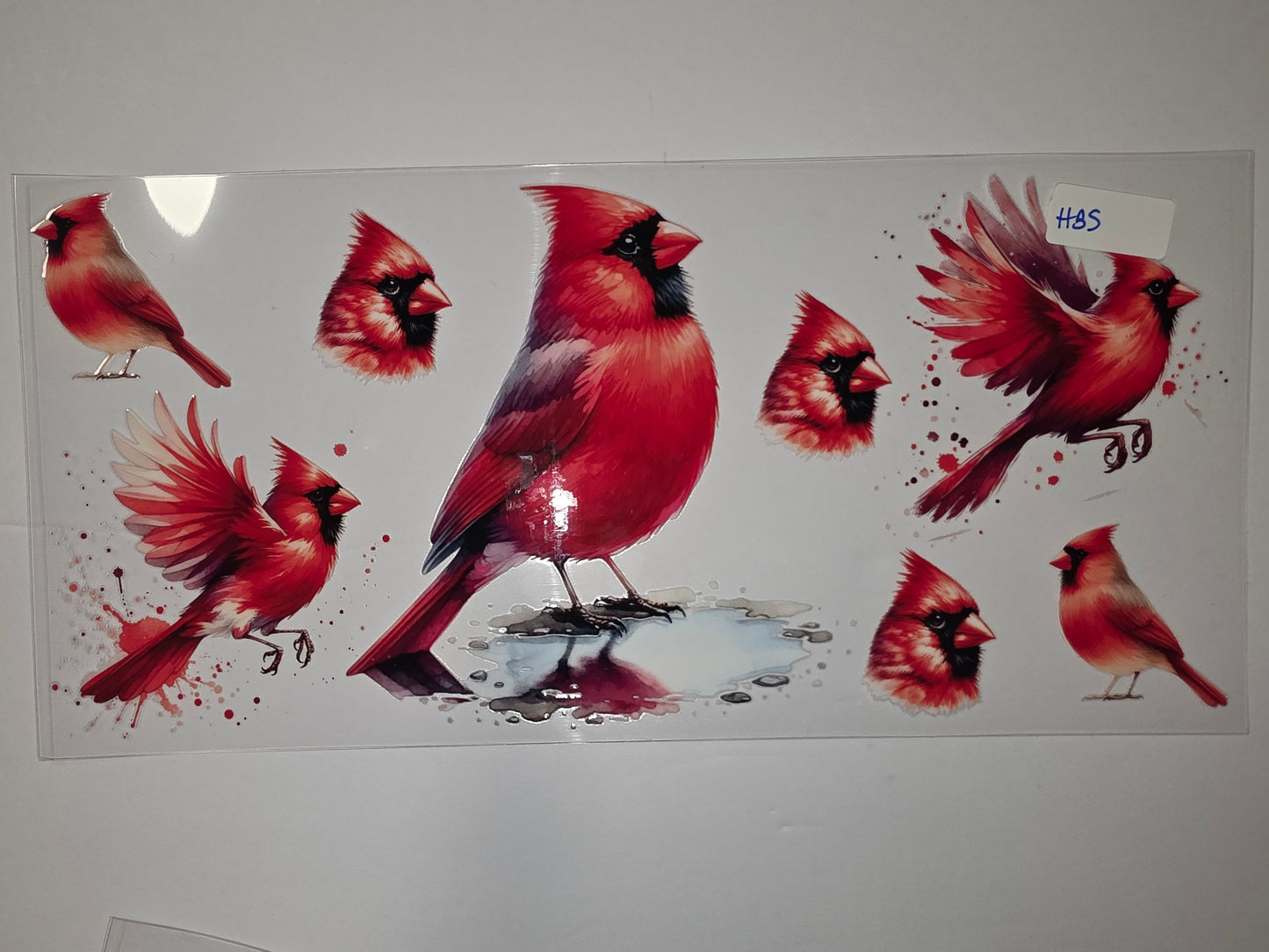 Vibrant Red Cardinal Bird Tumbler Wrap - Watercolor Style Drinkware Design