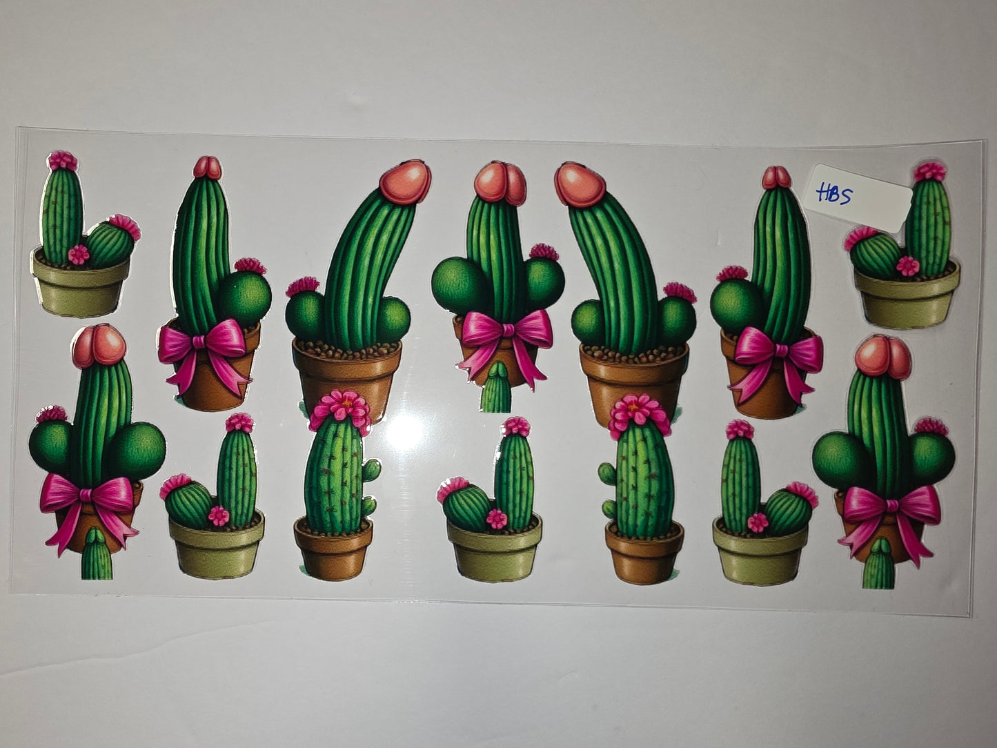 Funny Penis Cactus Tumbler Wraps - Green Cacti with Pink Flowers & Bows