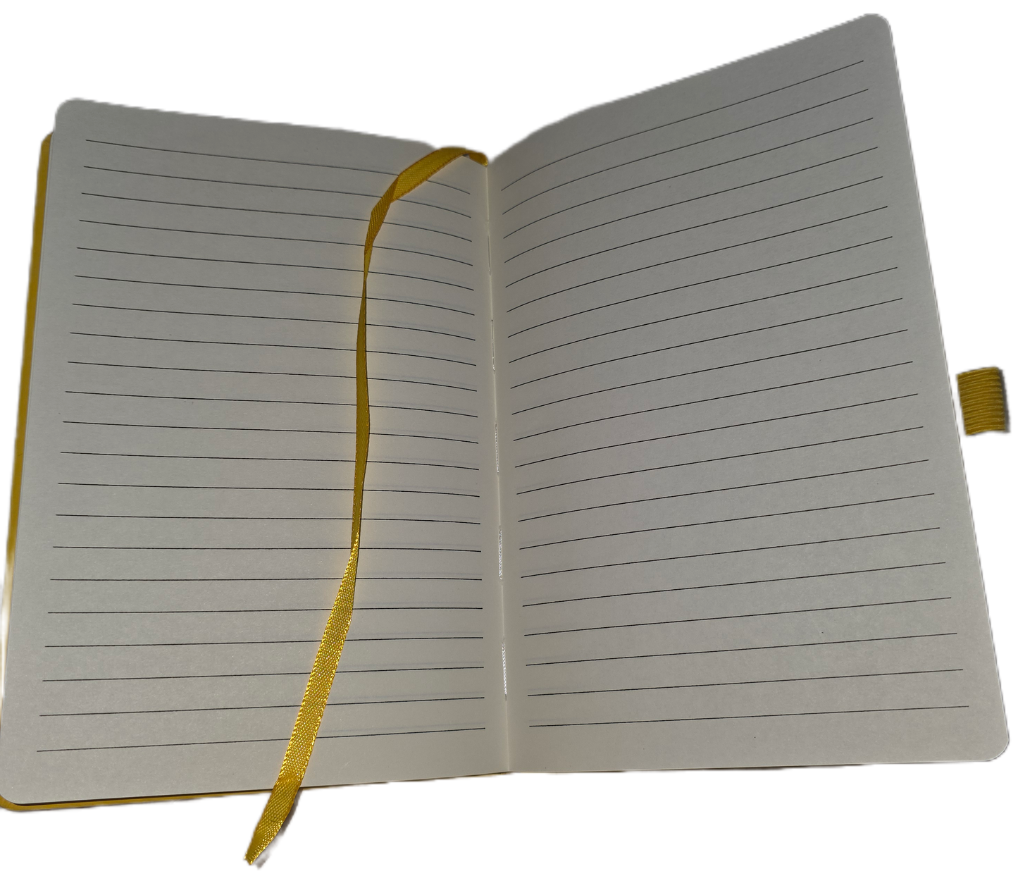 Swear Bears Care Bears A5 Line Journal Notebook 5.5 x 8.2 inch with Pen Holder