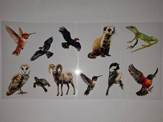 Wildlife Animal Tumbler Wrap - Birds, Ram, Lizard, Ferret, Owl, Turtle