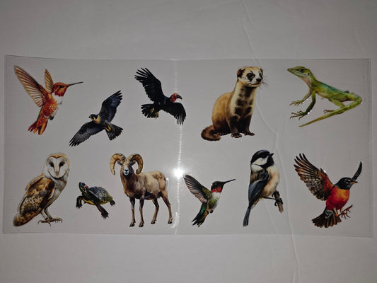 Wildlife Animal Tumbler Wrap - Birds, Ram, Ferret, Lizard, Turtle - Nature Design